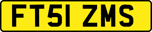 FT51ZMS