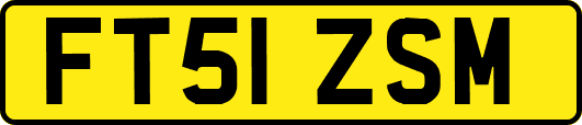 FT51ZSM