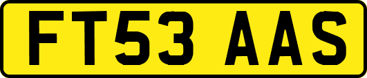FT53AAS