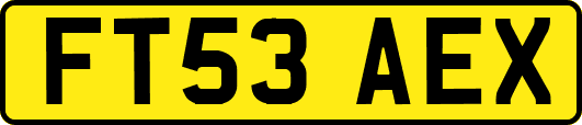 FT53AEX