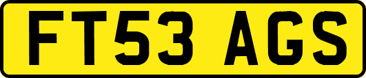 FT53AGS