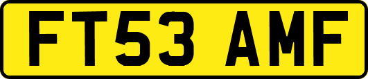FT53AMF