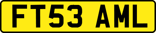 FT53AML