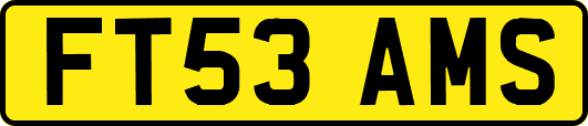 FT53AMS