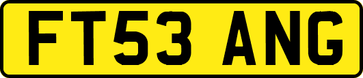 FT53ANG