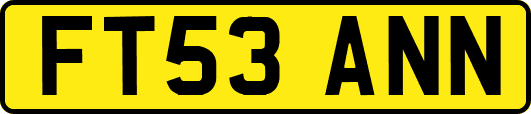 FT53ANN