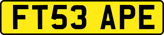FT53APE