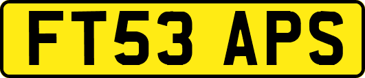 FT53APS