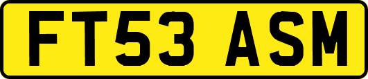 FT53ASM