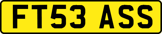 FT53ASS