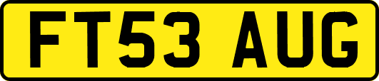 FT53AUG