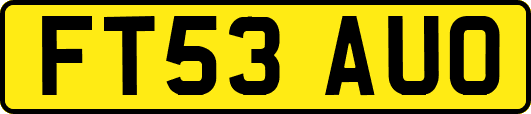FT53AUO