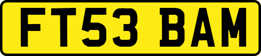 FT53BAM