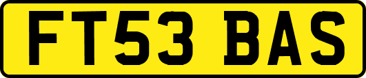 FT53BAS