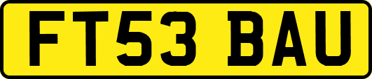 FT53BAU