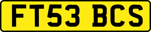 FT53BCS