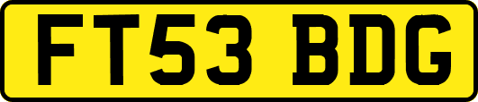 FT53BDG