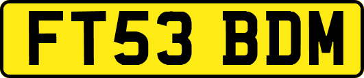 FT53BDM