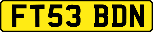 FT53BDN