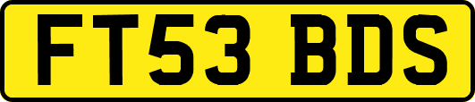 FT53BDS