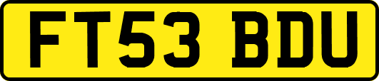 FT53BDU