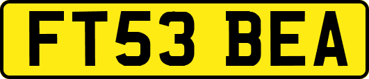 FT53BEA