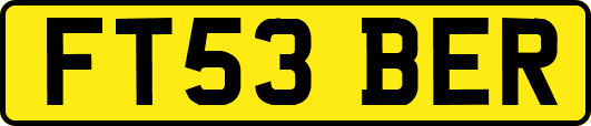 FT53BER