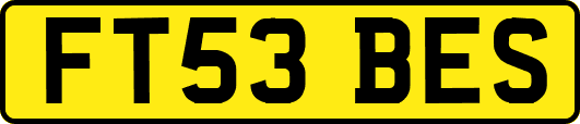 FT53BES