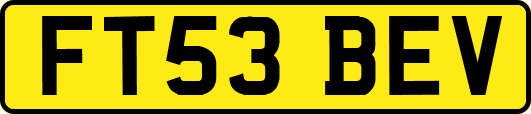 FT53BEV