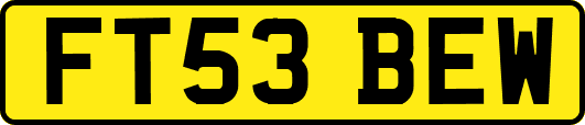 FT53BEW