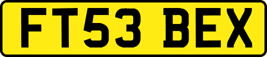 FT53BEX