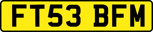 FT53BFM