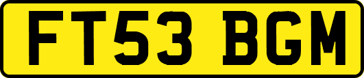 FT53BGM