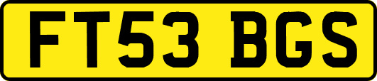 FT53BGS