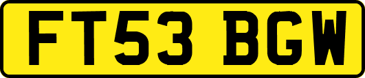 FT53BGW