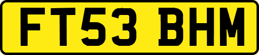 FT53BHM