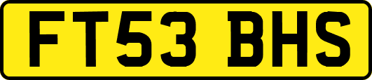 FT53BHS