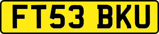 FT53BKU