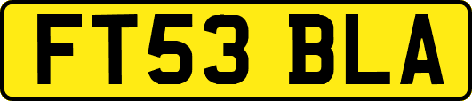 FT53BLA