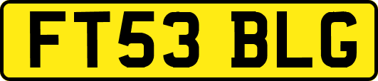 FT53BLG