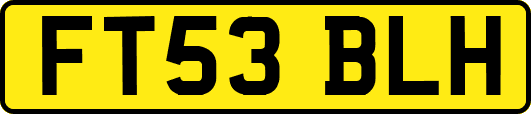 FT53BLH