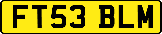 FT53BLM