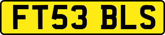 FT53BLS