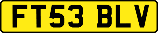 FT53BLV