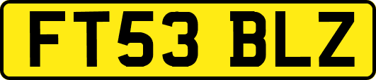 FT53BLZ