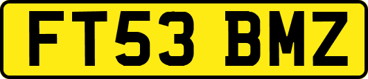 FT53BMZ