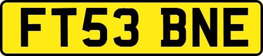 FT53BNE