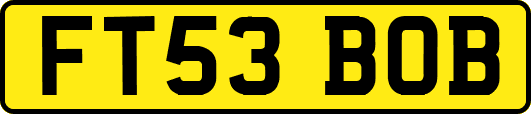 FT53BOB