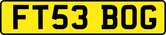 FT53BOG