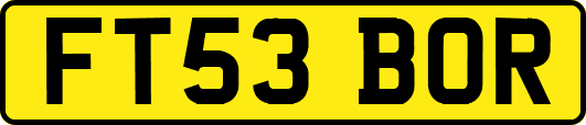FT53BOR